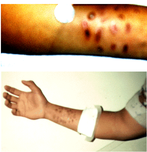 fig4.gif (108616 bytes)