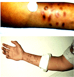 fig4s.gif (15010 bytes)