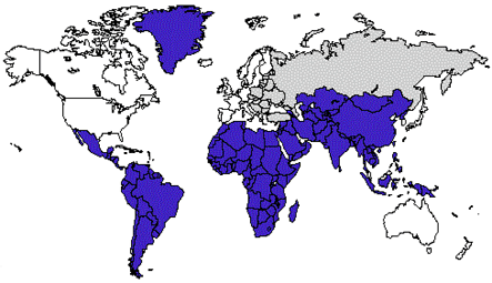 Map of endemicity patterns of hepatitis A virus infection worldwide